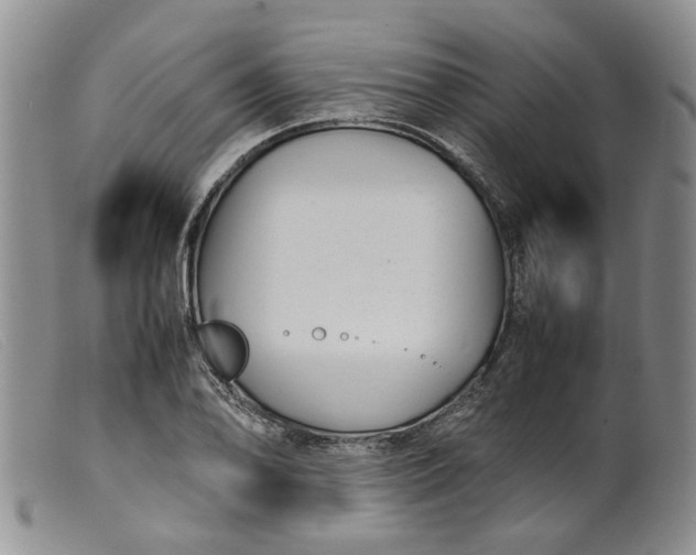 X0000099461078200805231801