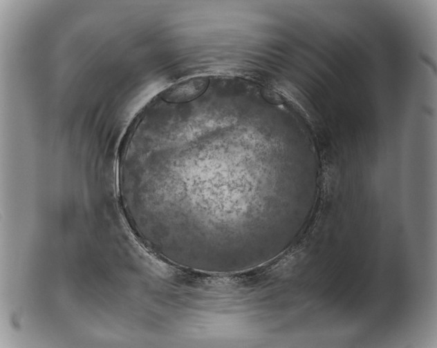 X0000099461079200805231801