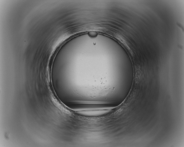 X0000099461080200805231801