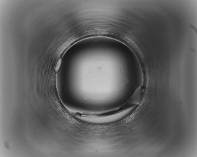 X0000099461081200805231801