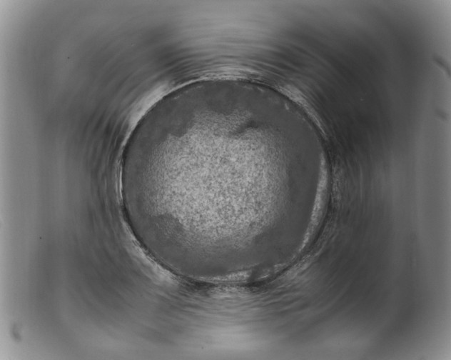 X0000099461083200805231801