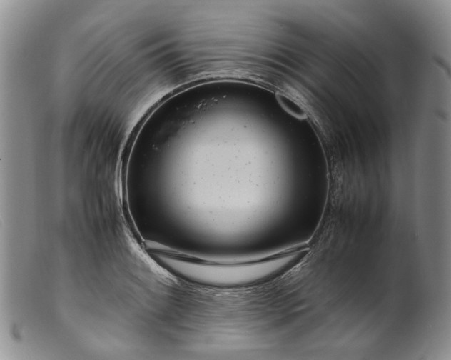 X0000099461084200805231801