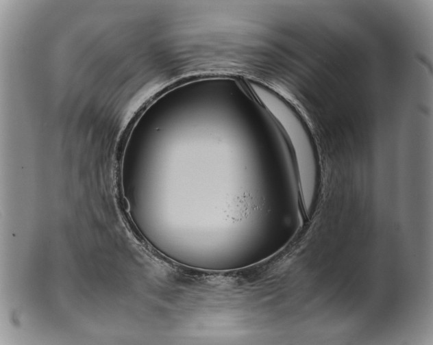 X0000099461085200805231801