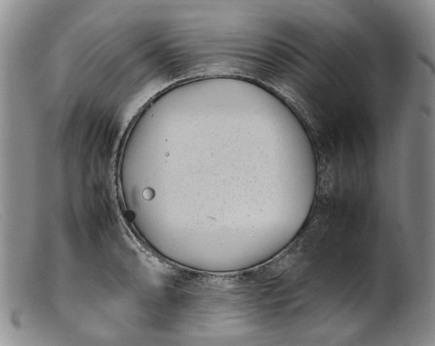 X0000099461086200805231801