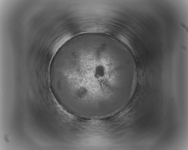 X0000099461087200805231801