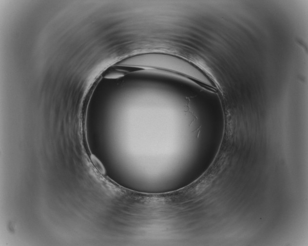 X0000099461088200805231800