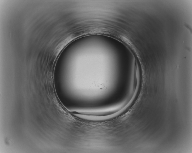 X0000099461089200805231800