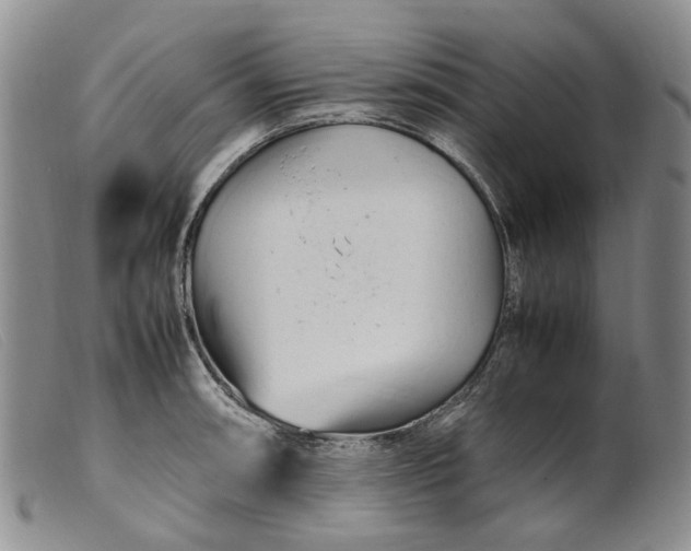 X0000099461090200805231800