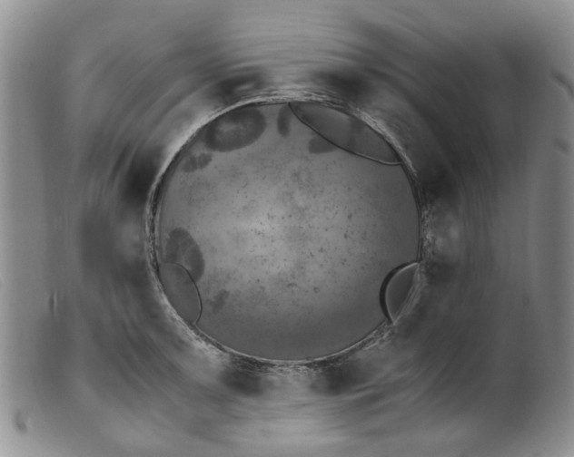 X0000099461091200805231800