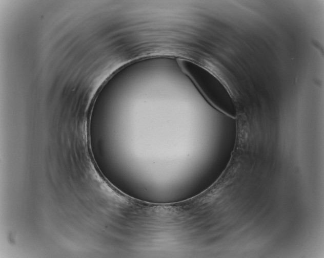 X0000099461092200805231800