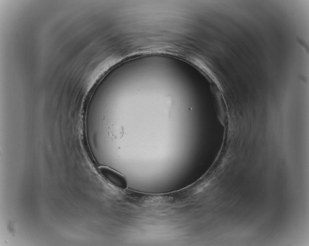 X0000099461093200805231800