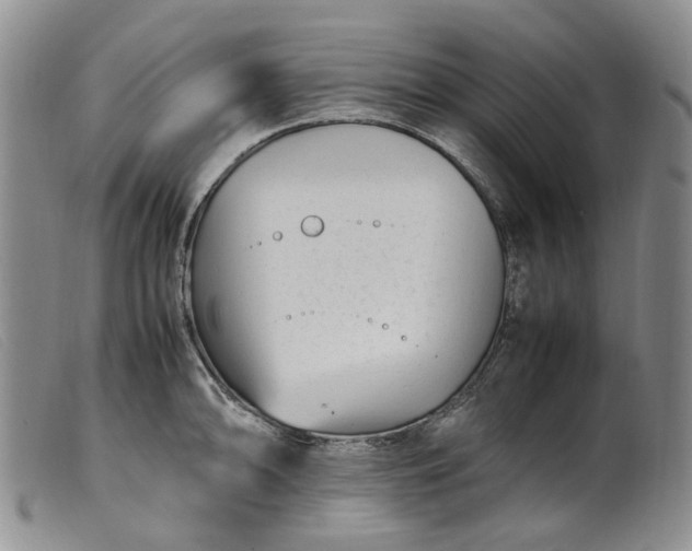 X0000099461094200805231800