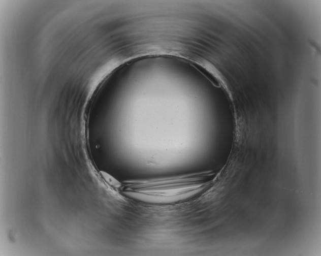 X0000099461096200805231800