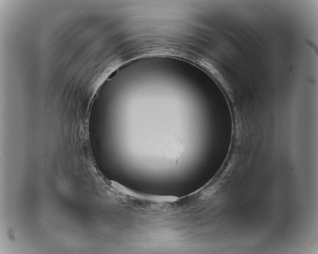 X0000099461097200805231800