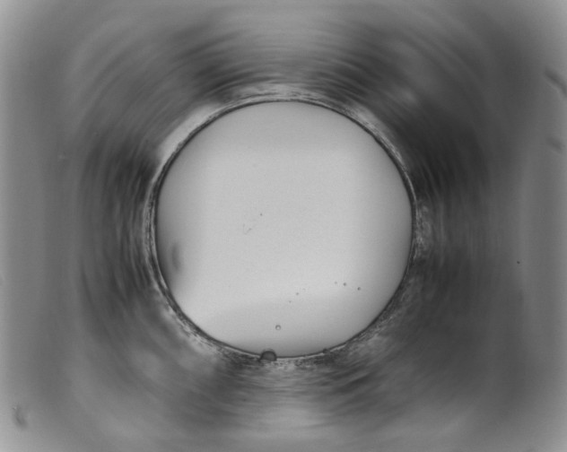 X0000099461098200805231800