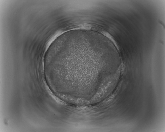 X0000099461099200805231800