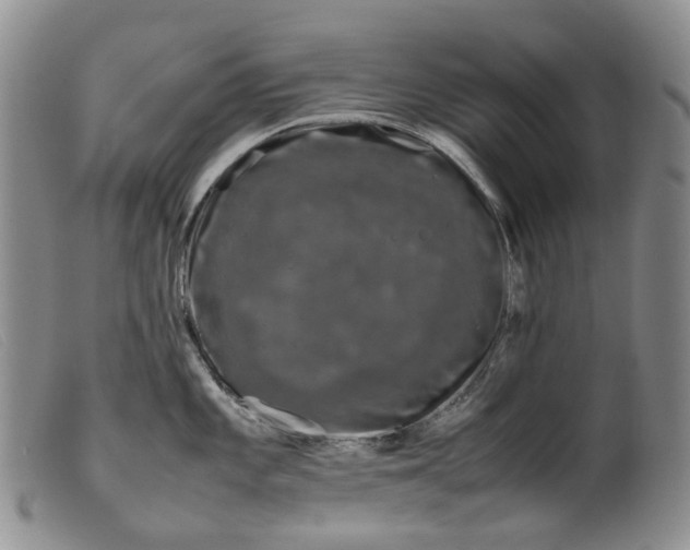 X0000099461101200805231800