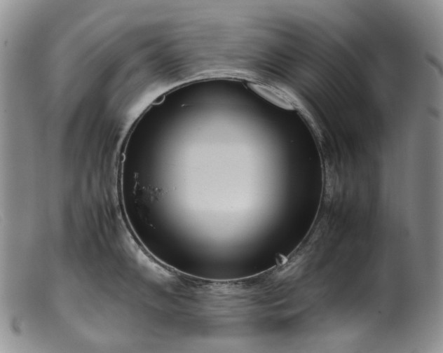 X0000099461102200805231800