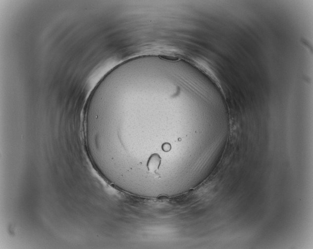 X0000099461103200805231800