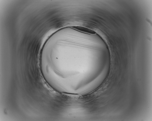 X0000099461104200805231800