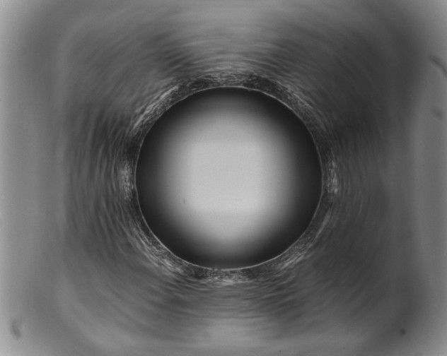 X0000099461108200805231800