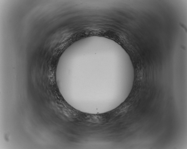 X0000099461109200805231800