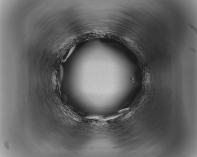 X0000099461110200805231800