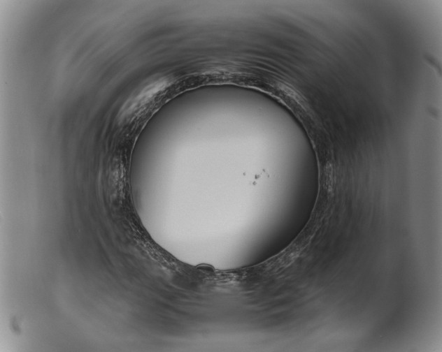 X0000099461111200805231800