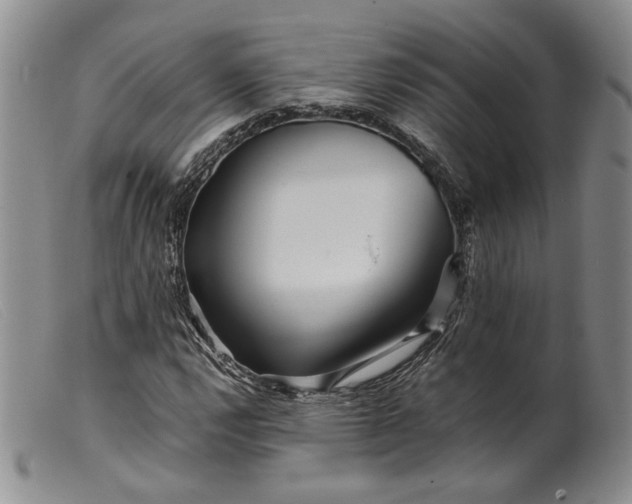 X0000099461112200805231800