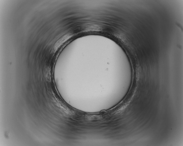 X0000099461113200805231800