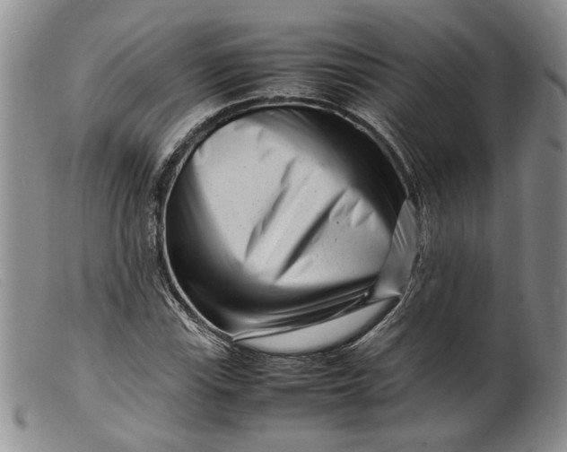 X0000099461115200805231800