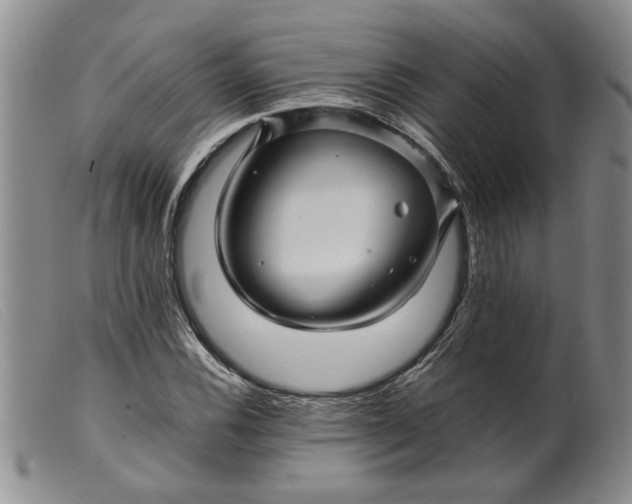 X0000099461116200805231800