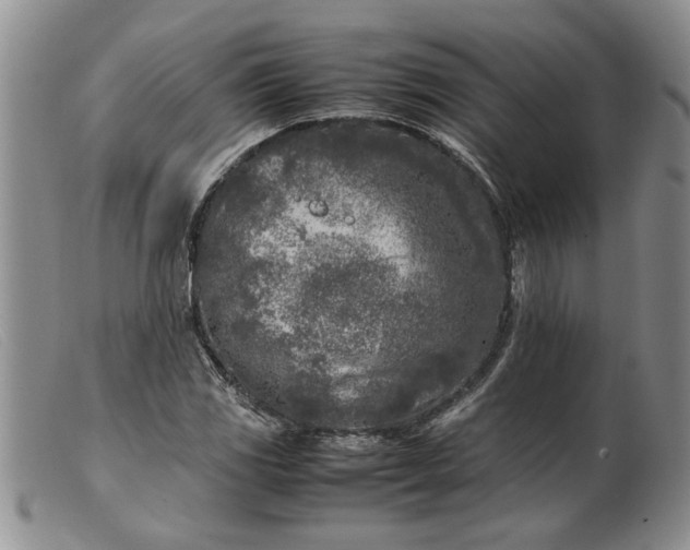 X0000099461117200805231800