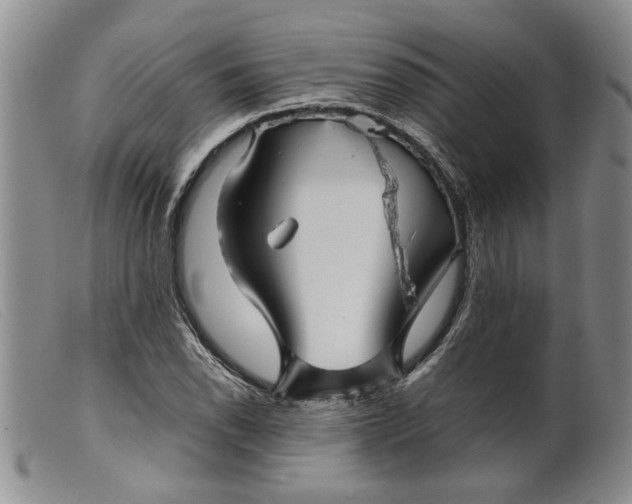 X0000099461118200805231800