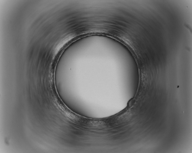 X0000099461119200805231800