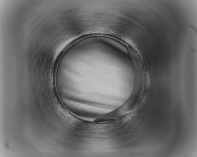 X0000099461120200805231800