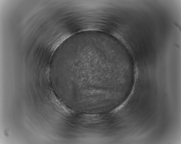 X0000099461121200805231800