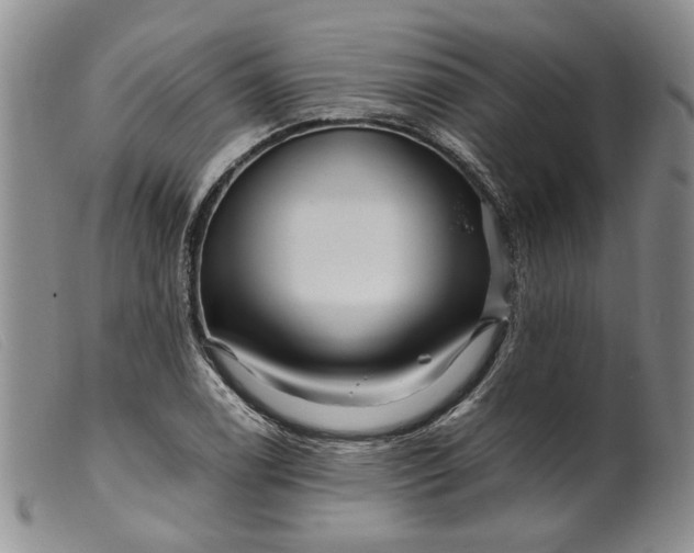 X0000099461122200805231800