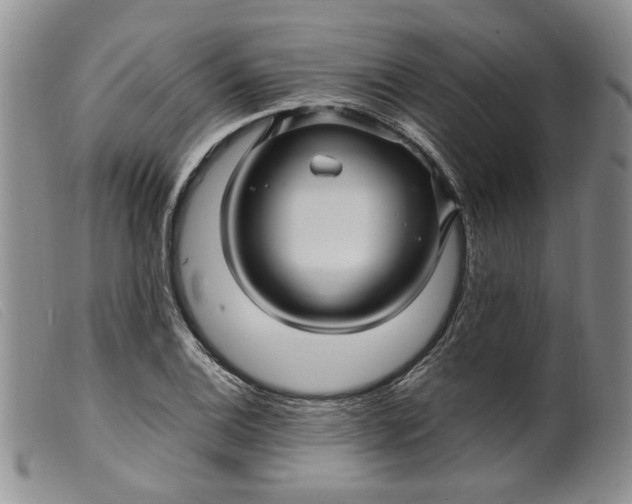 X0000099461124200805231800