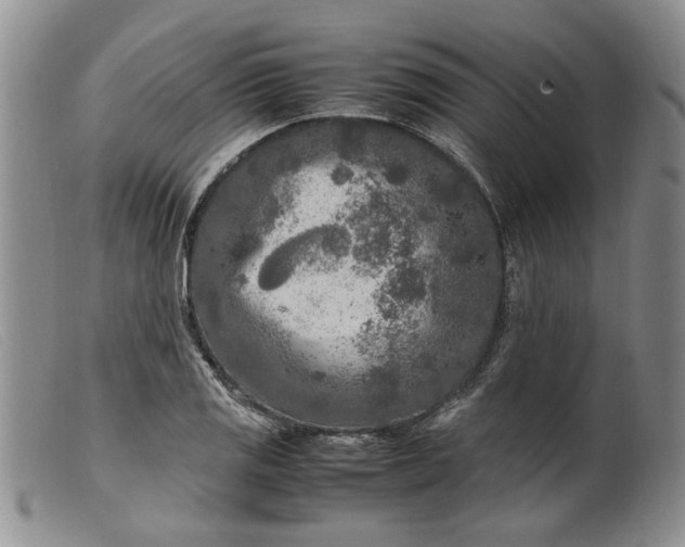 X0000099461125200805231800