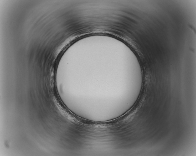 X0000099461126200805231800