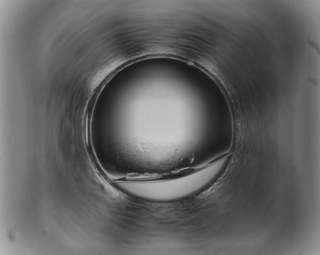 X0000099461127200805231800