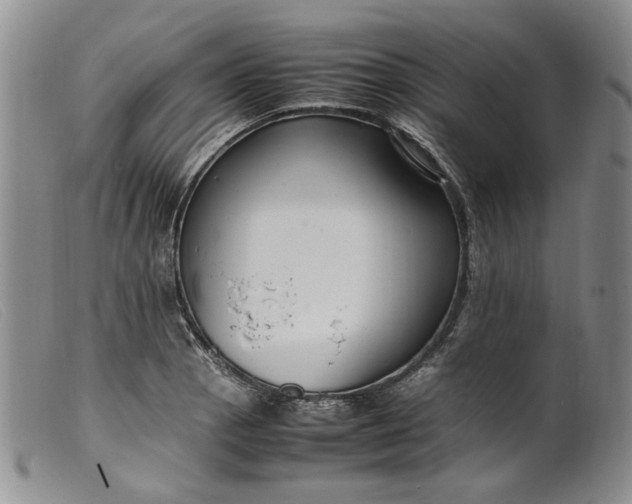 X0000099461129200805231800