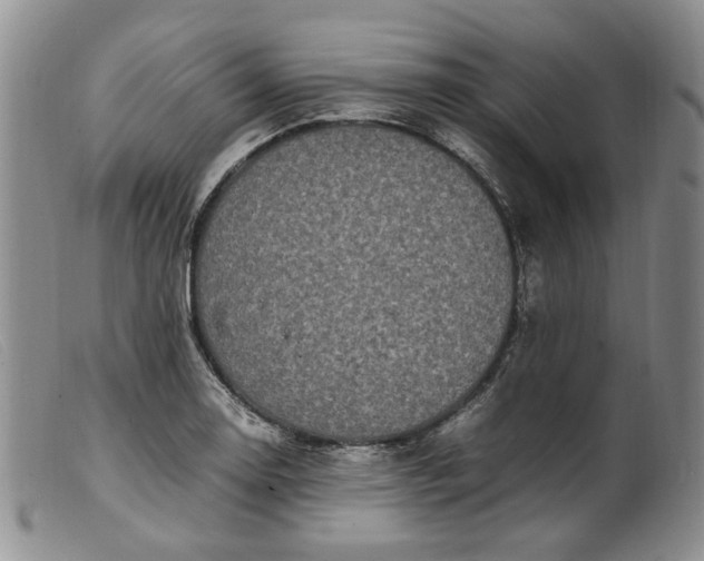 X0000099461130200805231800