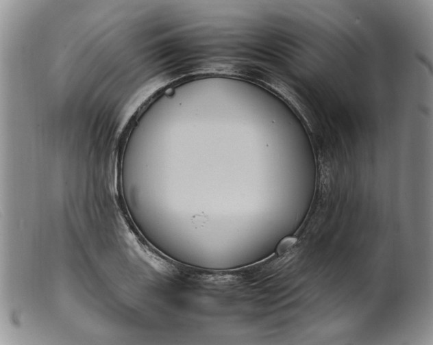 X0000099461131200805231800