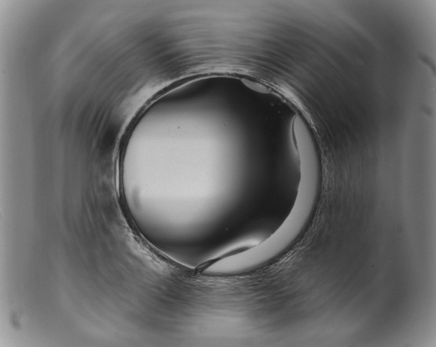 X0000099461132200805231800