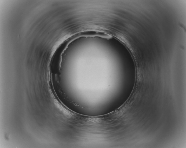 X0000099461136200805231800