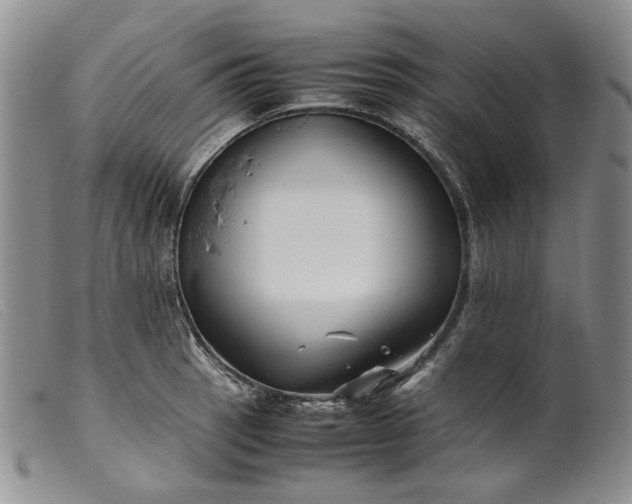 X0000099461137200805231800