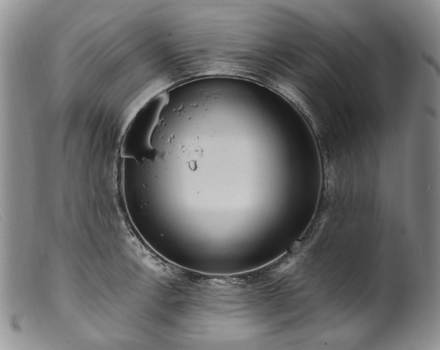 X0000099461138200805231800