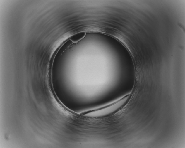 X0000099461139200805231800